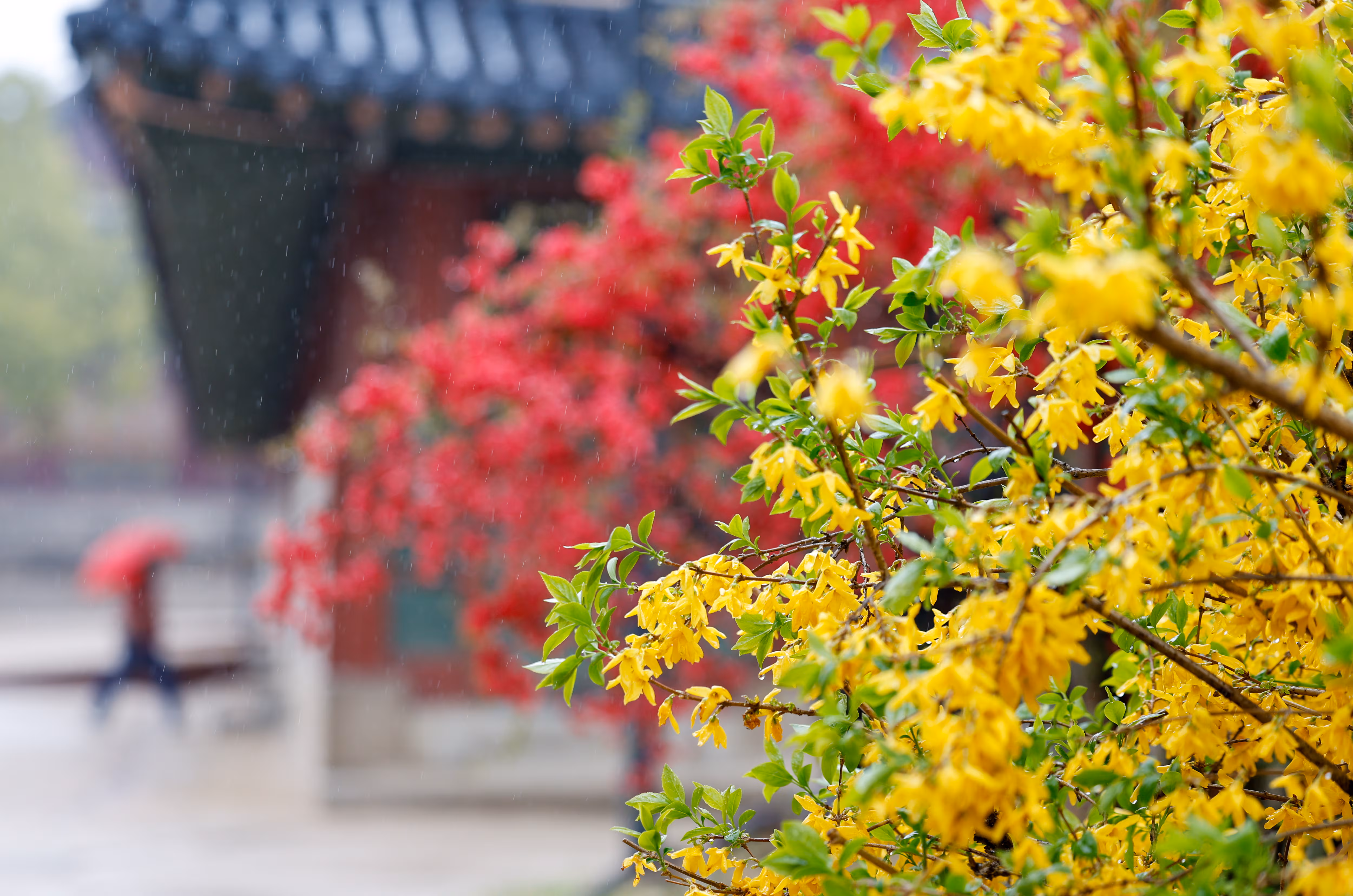 소리 없이 쌓이는 시간