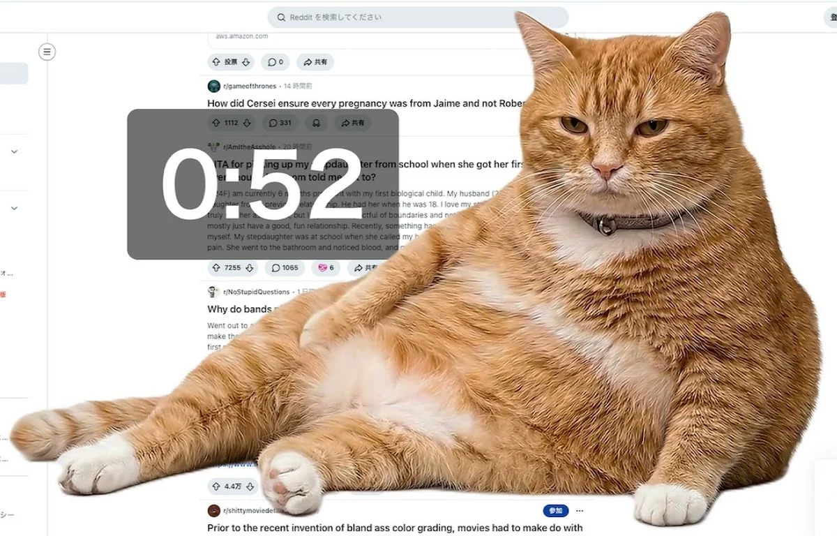 Google Chrome : « Cat Gatekeeper », une extension super cute pour limiter le scroll infini