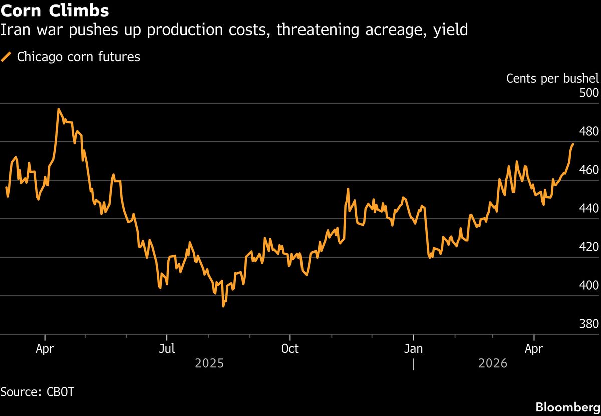 Corn Extends Gains as War Premium Ignites Broad Crops Rally