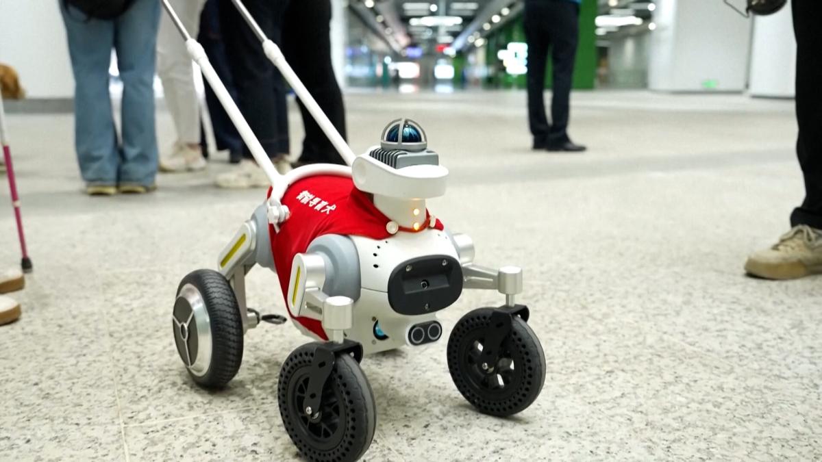 El primer perro guía robótico con IA en el metro para personas con discapacidad visual