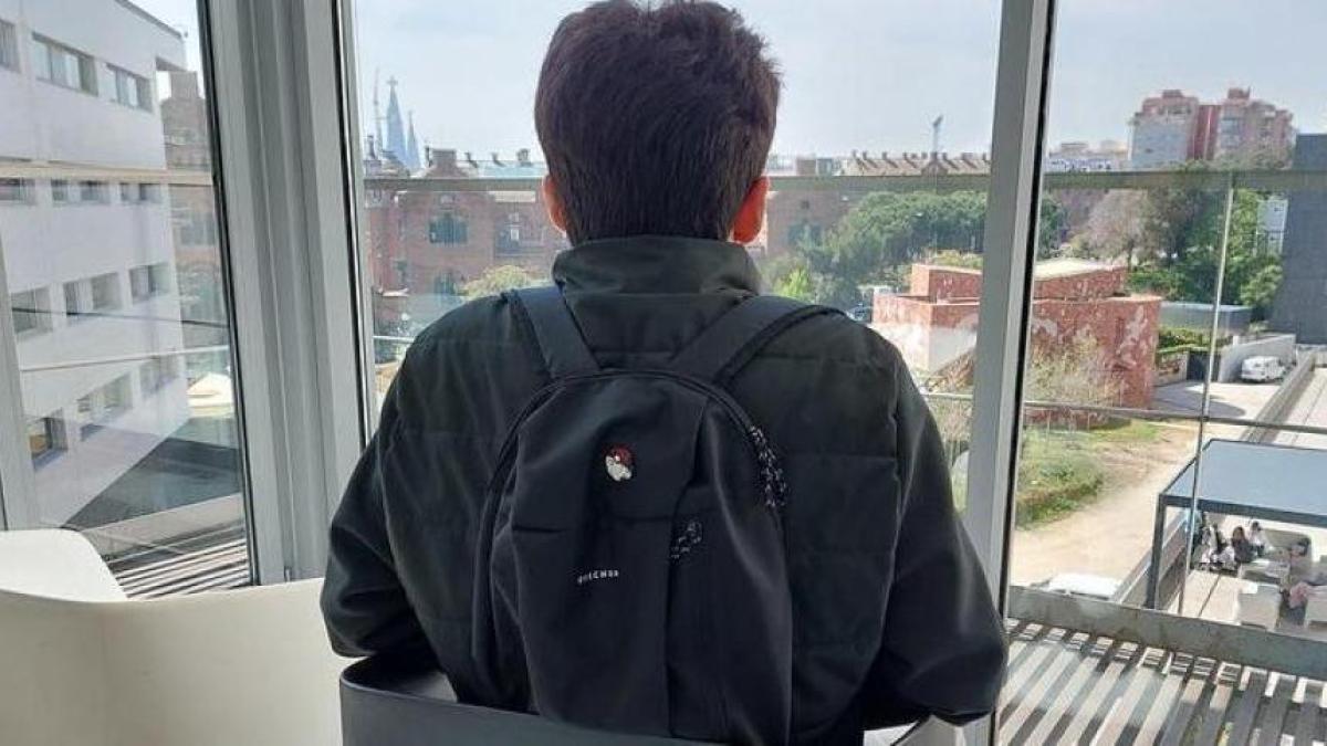 Sant Pau controla un caso extremo de síndrome de Tourette mediante electrodos en el cerebro