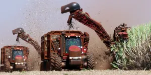 São Martinho (SMTO3) aprova debêntures no valor de R$ 1,1 bilhão