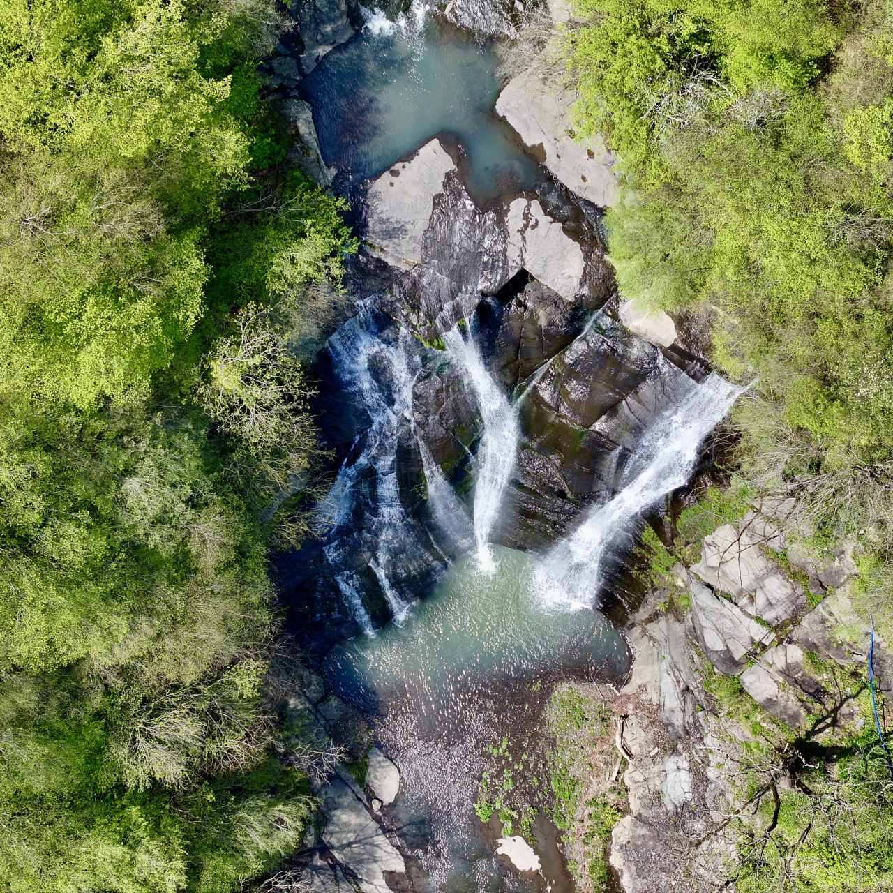 Samsun'un saklı cenneti yeşil örtüsüne kavuştu
