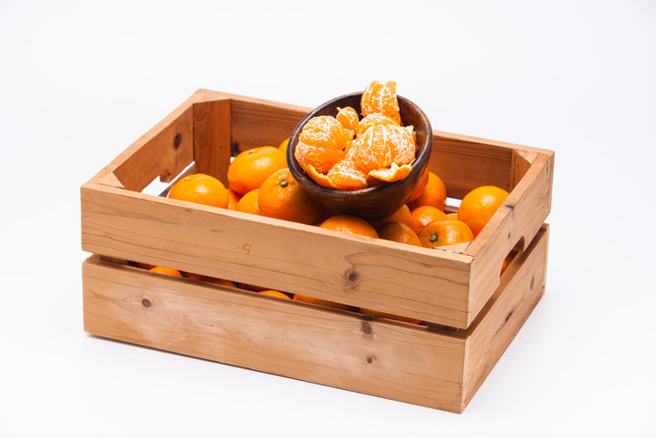 버리던 귤껍질의 반전… 방사선 맞은 장기, 90% 회복