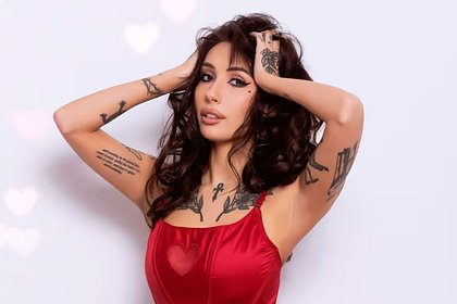 Порноактрисы вступились за члена парламента с секс-игрушками