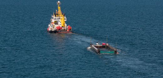Ostsee-Wal-News heute: Waltransport fast in der angekommen Nordsee, aber Schiff dreht offenbar wegen Wetterlage ab