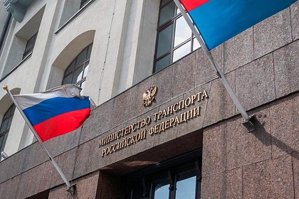 Власти согласились не штрафовать транспортные компании из-за проблем с учетом