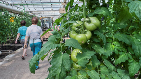 В РФ сократилось число участников аграрного рынка // Мониторинг АПК