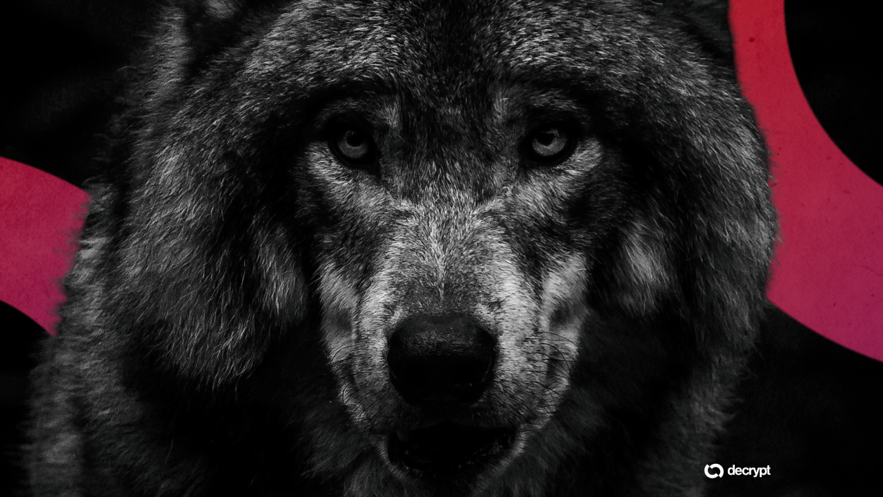 South Korea Arrests Man for a Fake AI Wolf Photo That Raised Alarms