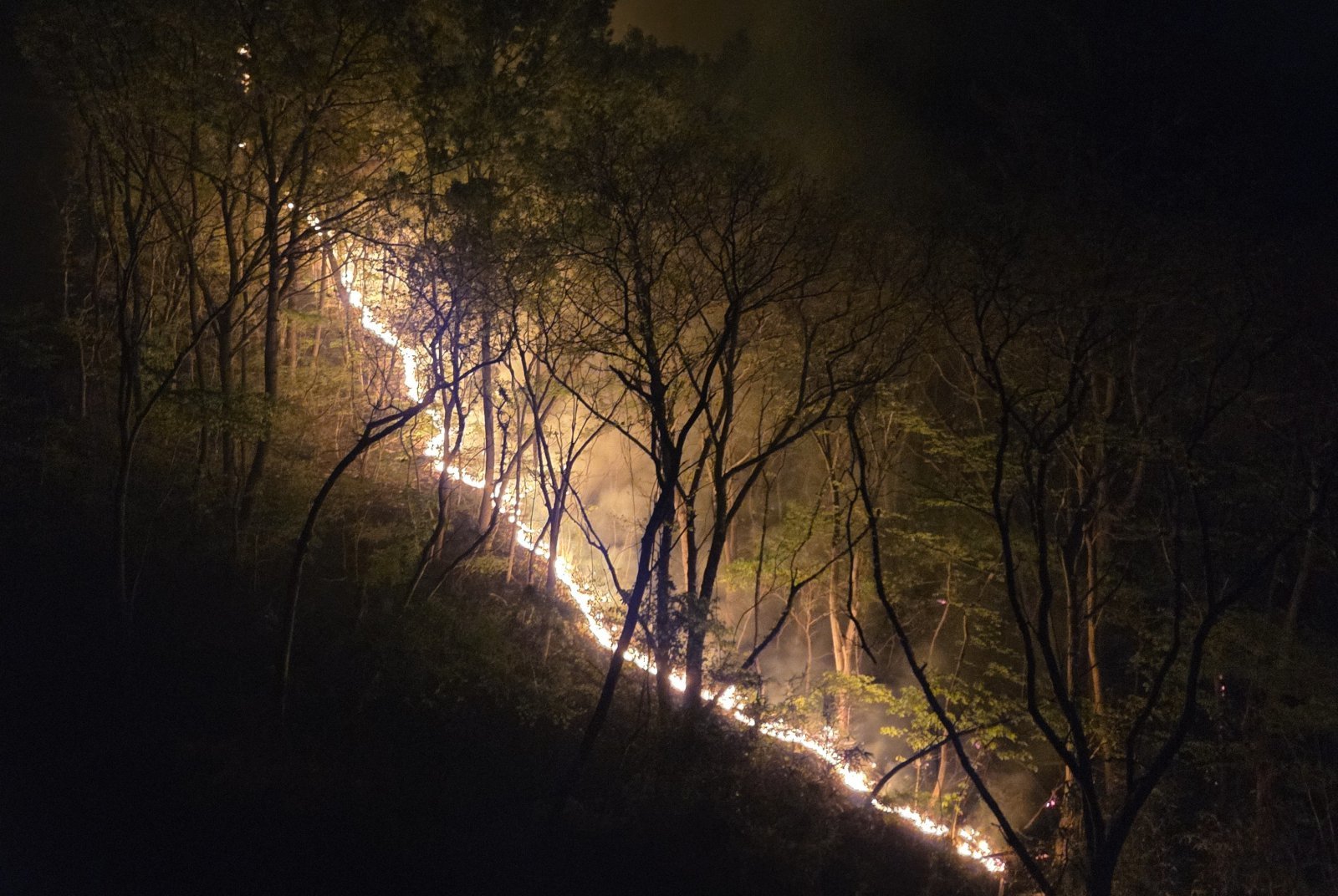 서천 안치저수지 인근서 산불…4시간38분 만에 진화
