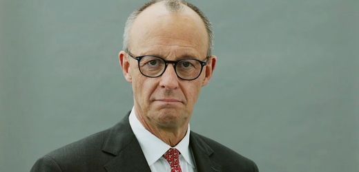Friedrich Merz: »Kein Bundeskanzler vor mir hat so etwas ertragen müssen«