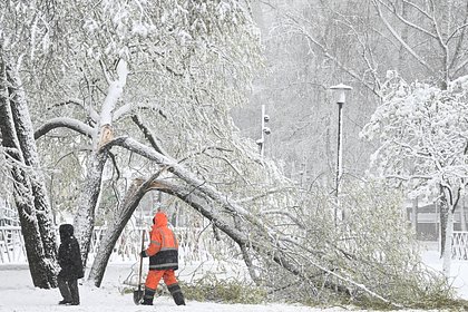 Москвичей предупредили о погодной опасности