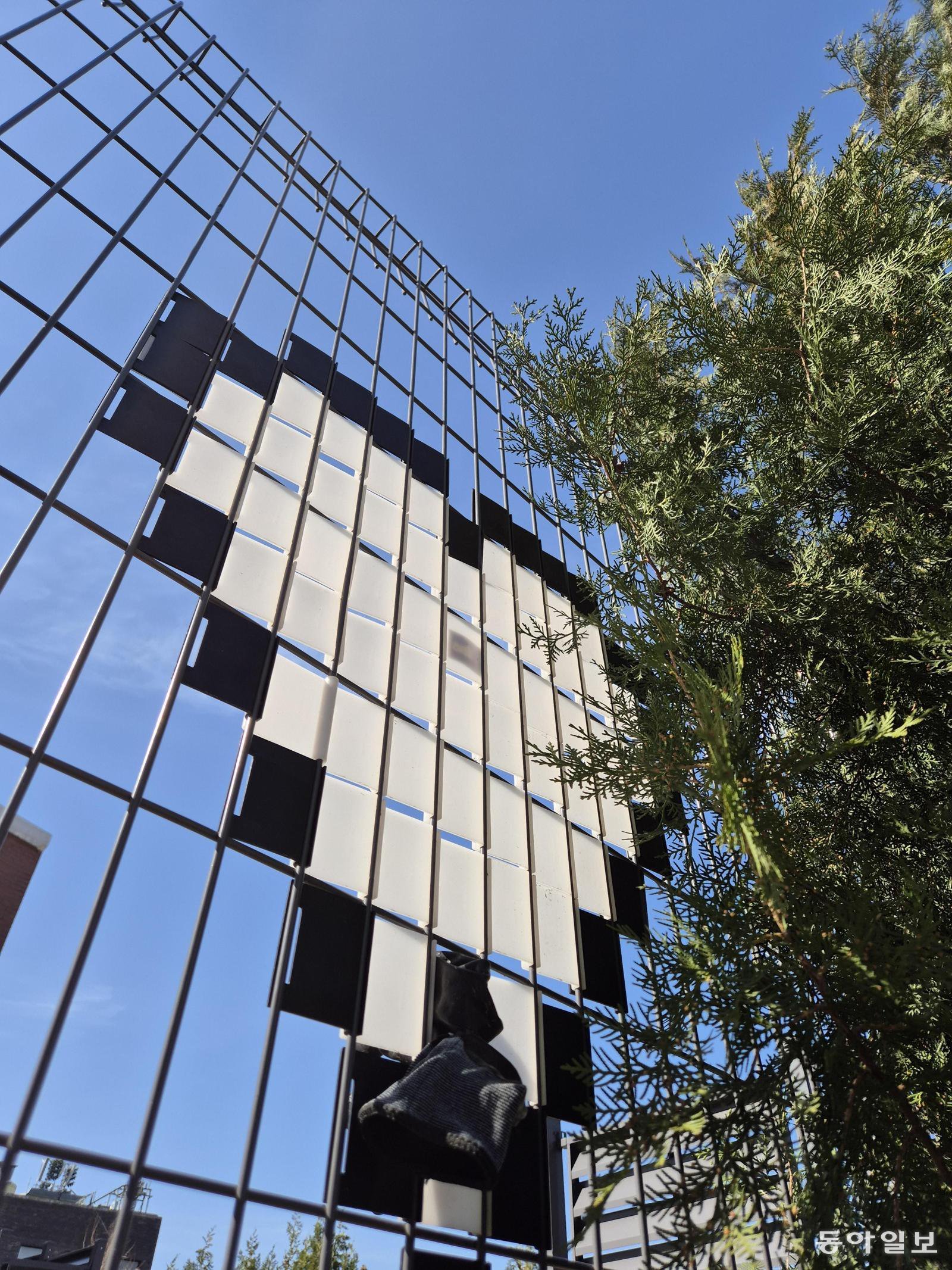 [고양이 눈]철망 위 하트