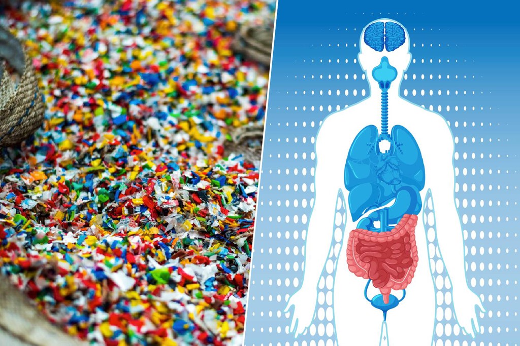 Ya sabíamos que comíamos plástico. Ahora la ciencia ha descubierto el caos exacto que provoca en nuestro intestino