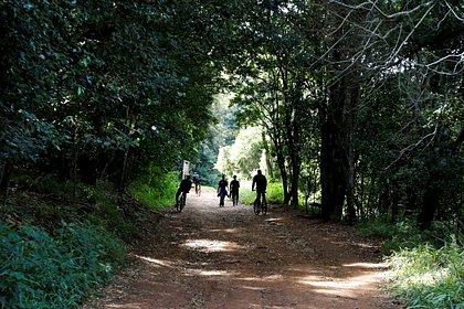 Организаторам фестиваля для любителей природы пришлось отбиваться от нудистов