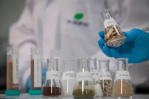 Suzano (SUZB3) tem lucro líquido de R$ 4,3 bi no 1º trimestre, queda anual de 32%