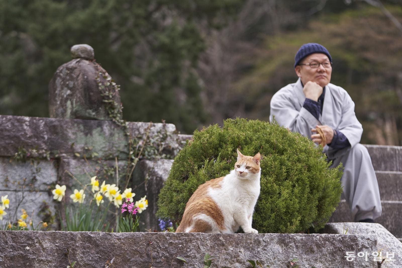 “고양이, 자기 삶에 충실… 절대 초조해하거나 안달복달하지 않아”