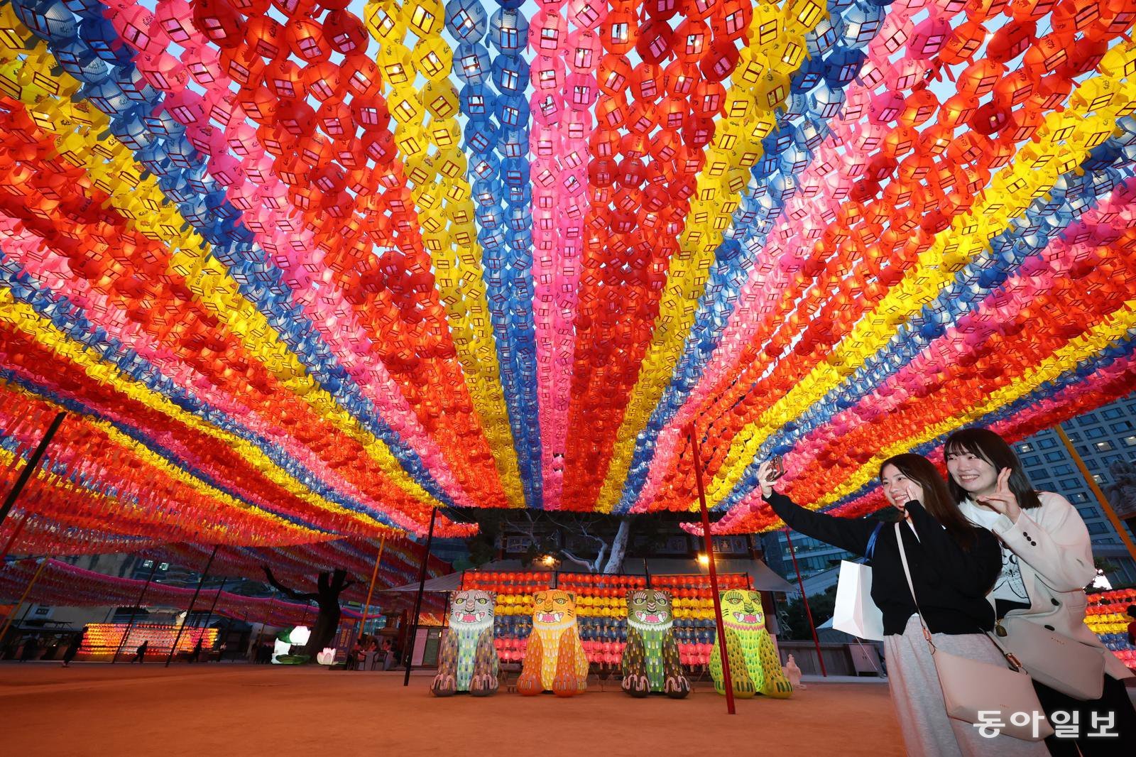 불 밝힌 연등 배경으로 찰칵