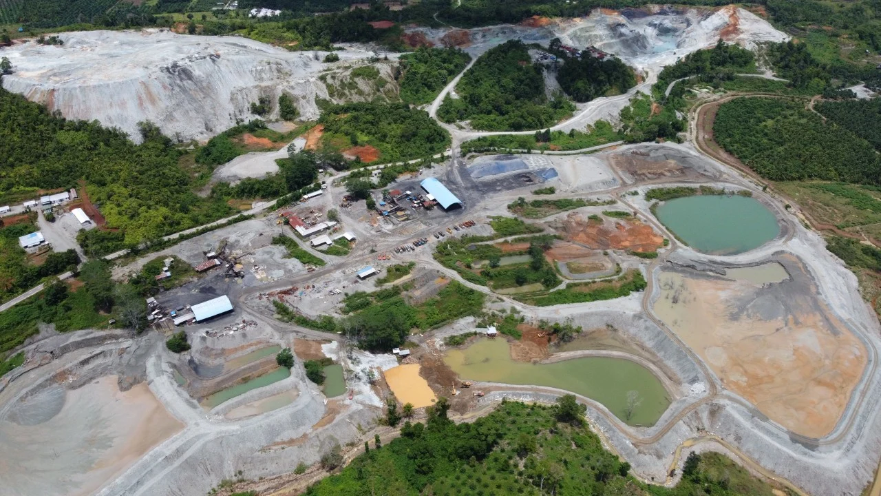 Tropical rainforest loss eases after record year, but still ‘11 football fields a minute’