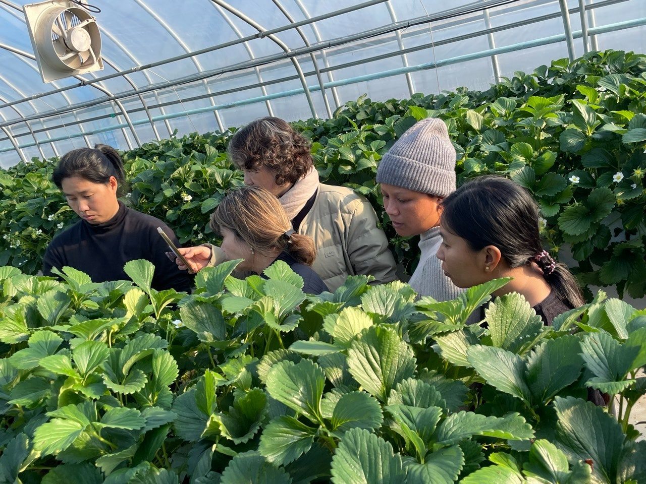 “돈 떼였다“ 외국인근로자 184명 진정…양구 임금착취 ‘파장’