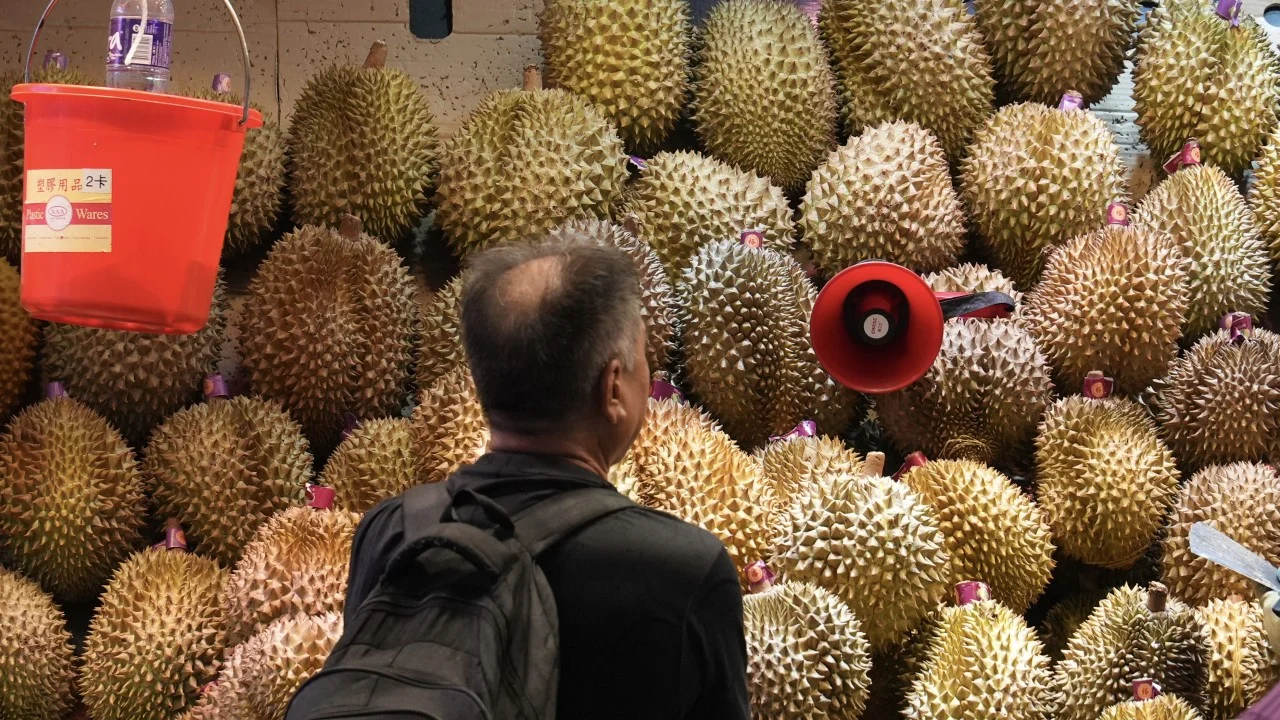 Durian Express? New Southeast Asia rail service cuts fruit prices in China