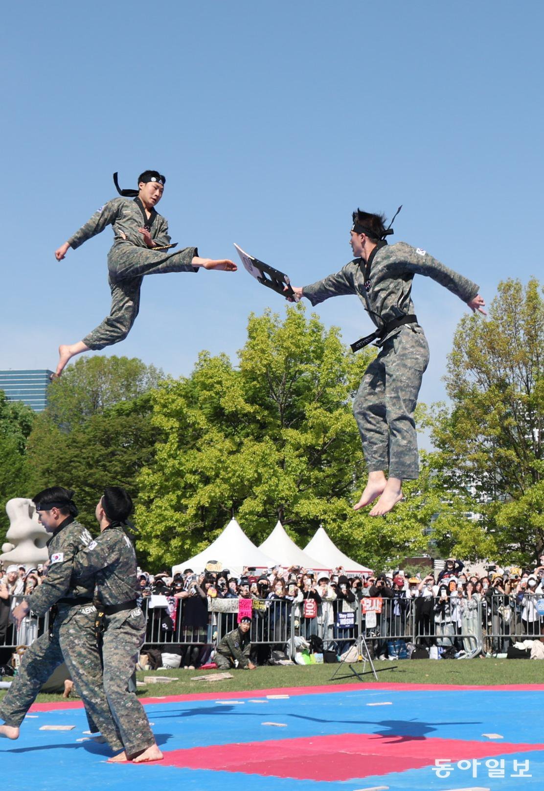 하늘 치솟아 ‘태권 격파’