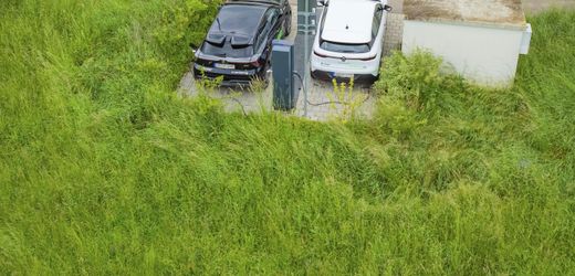 Elektroautos: Wo sie bereits normal sind und wo noch die Ausnahme - interaktive Karte