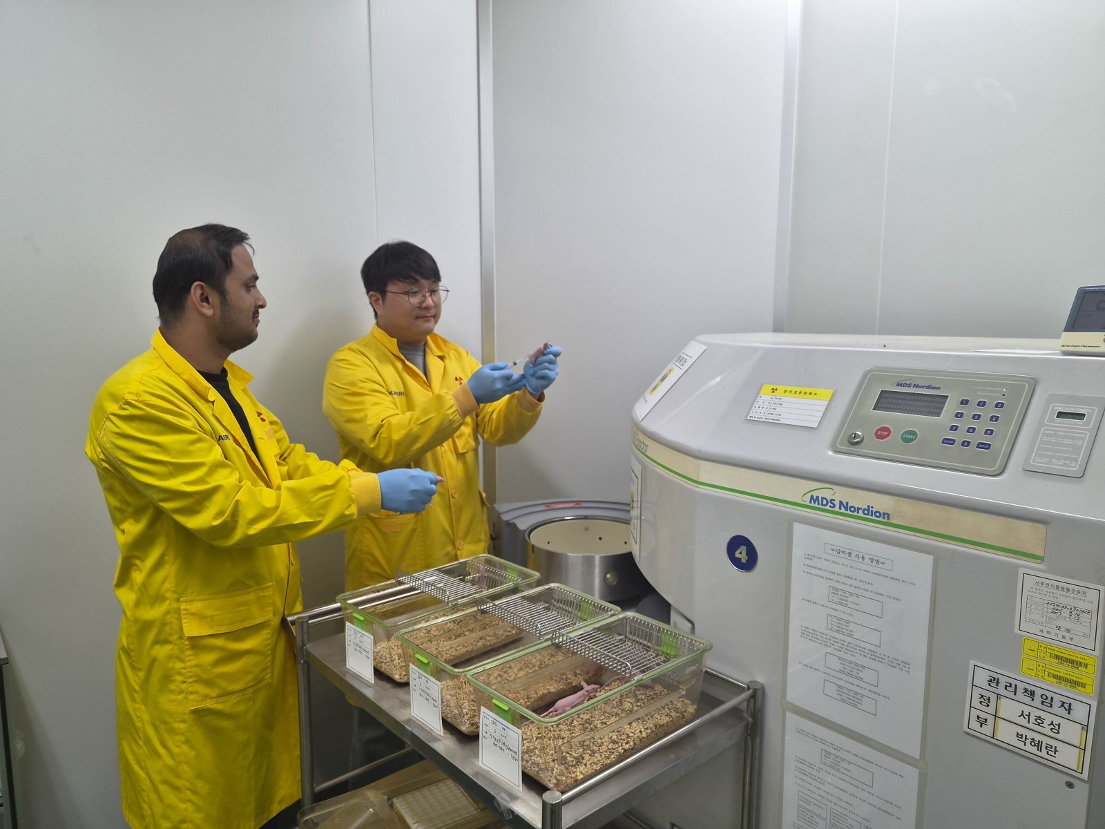 버려지던 귤껍질의 재발견… 방사선 손상 회복 효과 입증