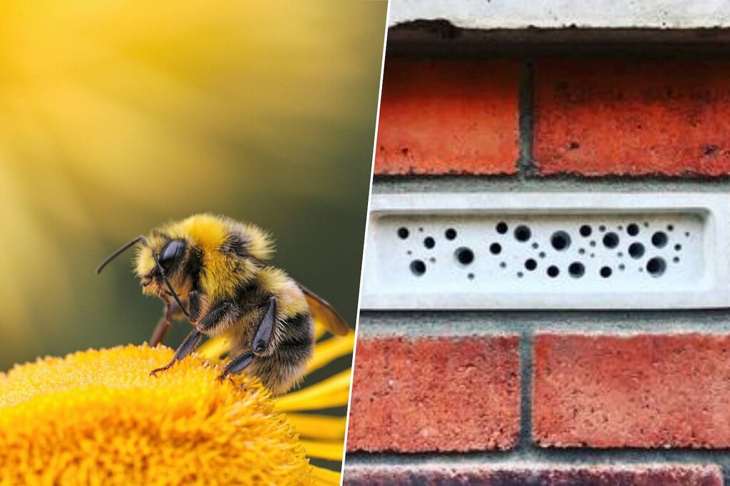 Tenemos un grave problema con la extinción de las abejas. Reino Unido quiere solucionarlo con ladrillos