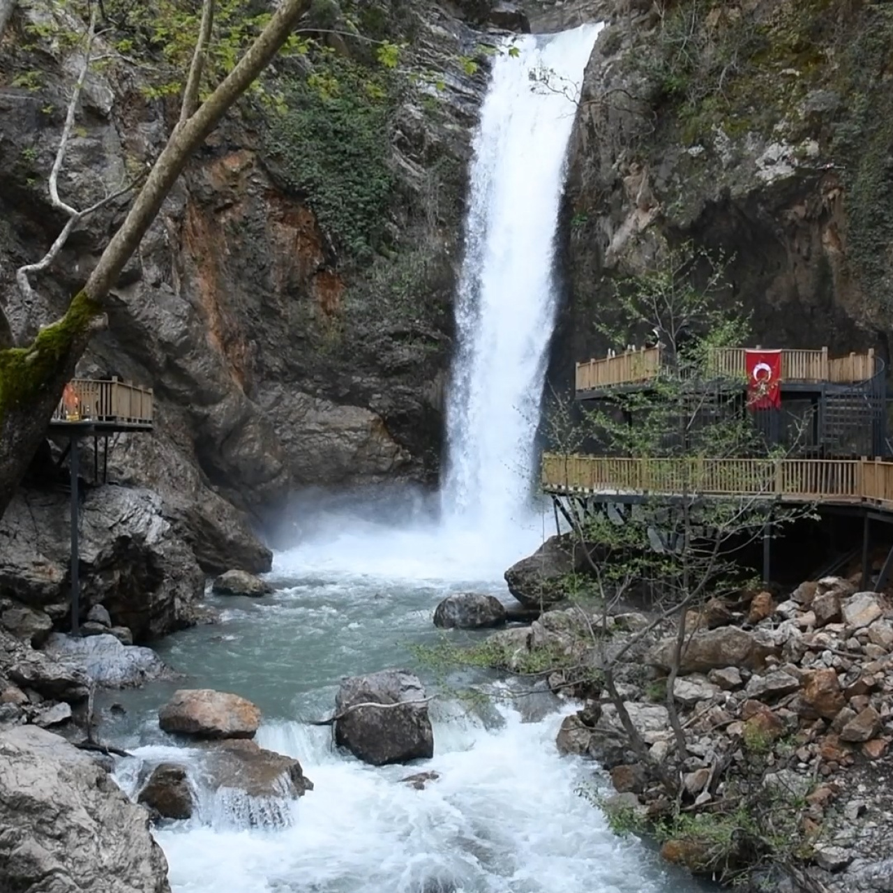 Amanosların 'saklı hazinesi'