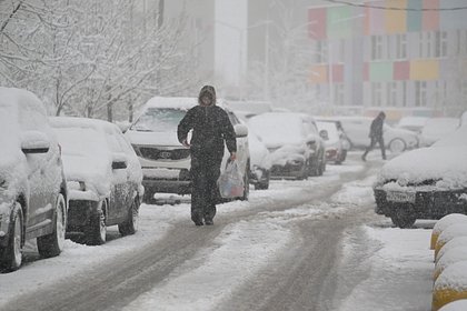 В Москве закрыли парки