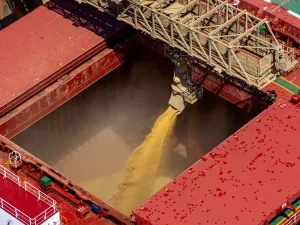 Exportação de soja do Brasil salta 12,5% na média diária do mês e aponta para recorde