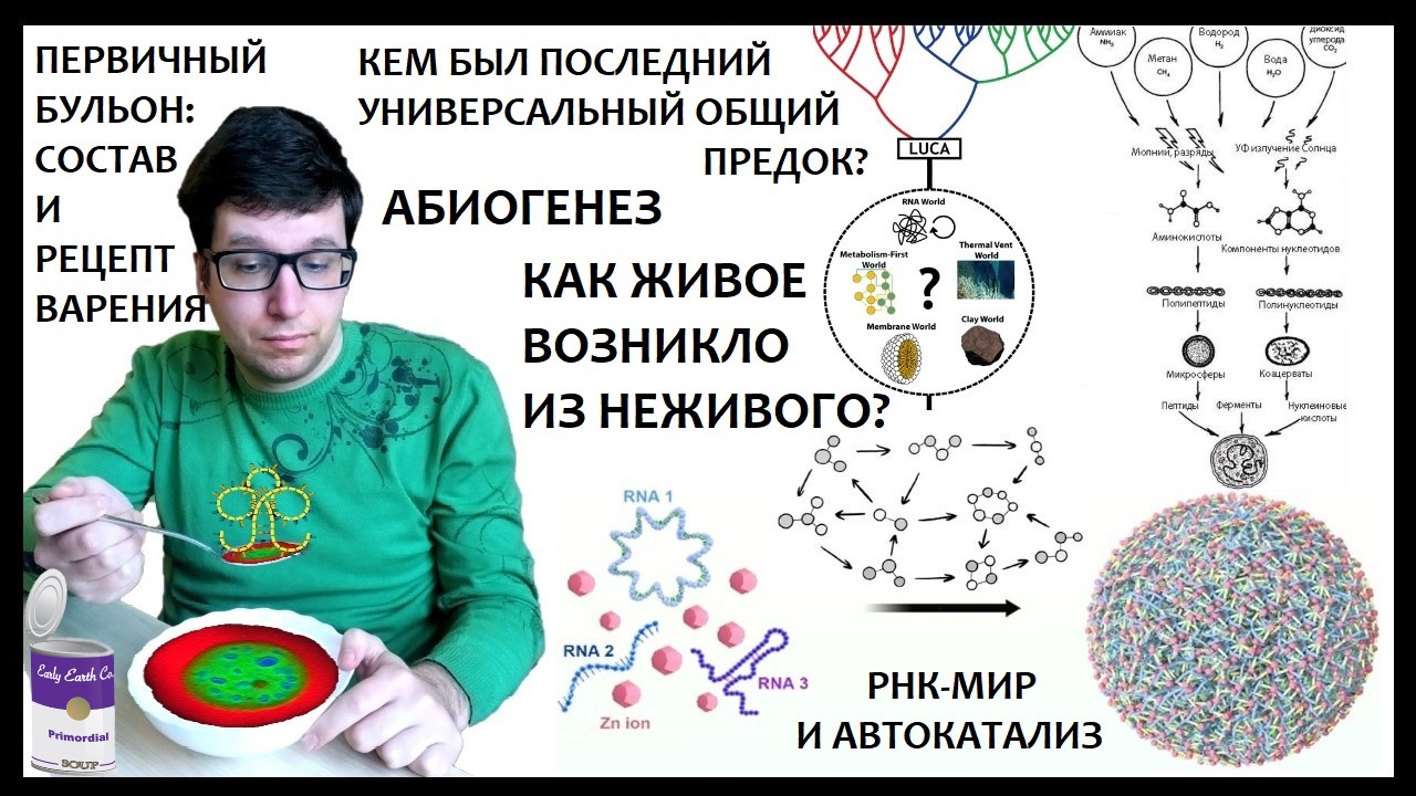 Происхождение, часть 2. Миры РНК и ДНК, автокаталитических сетей, вирусов и протоклеток