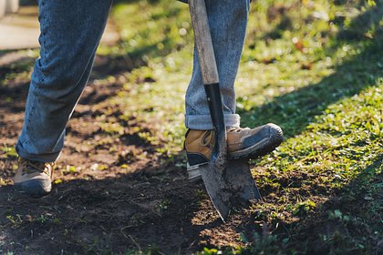 После помолвки мужчина признался невесте в расправе над велосипедистом и сокрытии тела