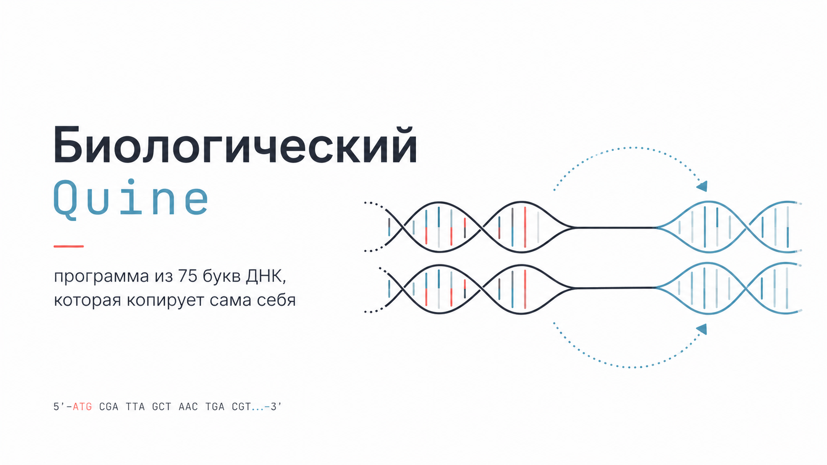 Биологический квайн: программа из 75 букв ДНК, которая копирует сама себя