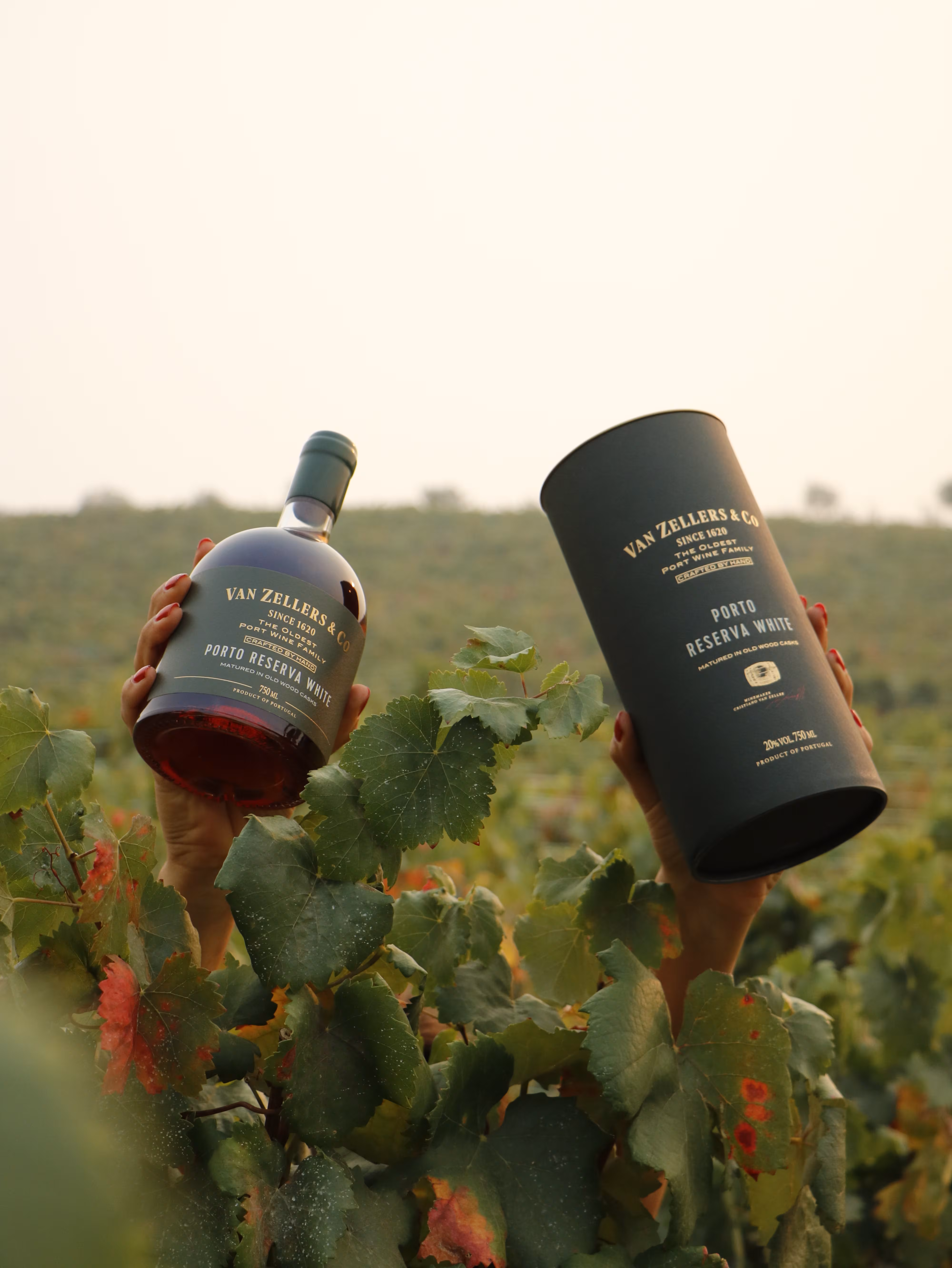 베리타스 트레이딩, 2026 대한민국주류대상 와인 부문 3관왕