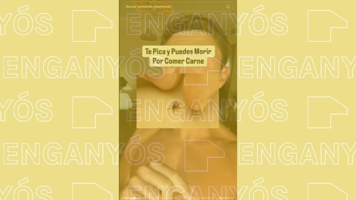 Hay garrapatas que te hacen alérgico a la carne roja, pero no es una conspiración para hacerte vegetariano