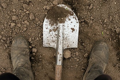 Мужчина выкопал останки сестры и принес их в банк из-за 15 тысяч рублей