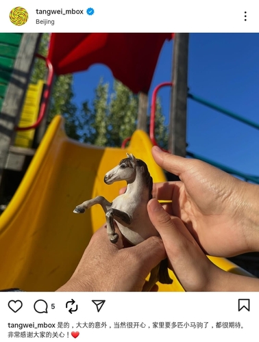 Tang Wei expecting 2nd child with director Kim Tae-yong