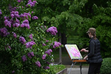 Россиянам пригрозили арестом за сорванную сирень