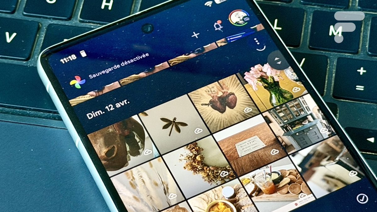 Bug Google Photos : voici l’outil officiel pour sauver vos fichiers