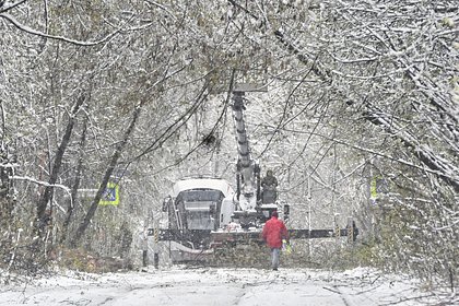 Синоптик дал прогноз развития снегопада в Москве