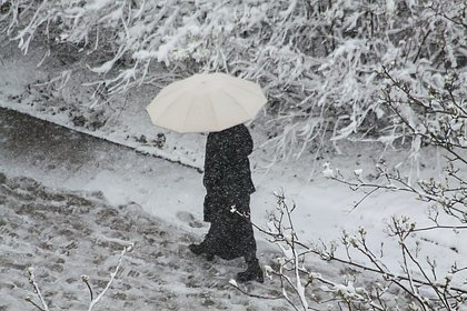 Московские сугробы побили 90-летний рекорд