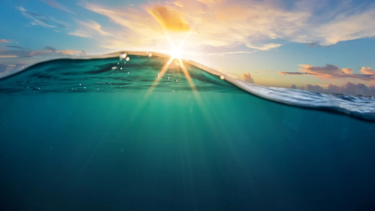 Scientists in China create a predator-like material to hunt for uranium in the ocean