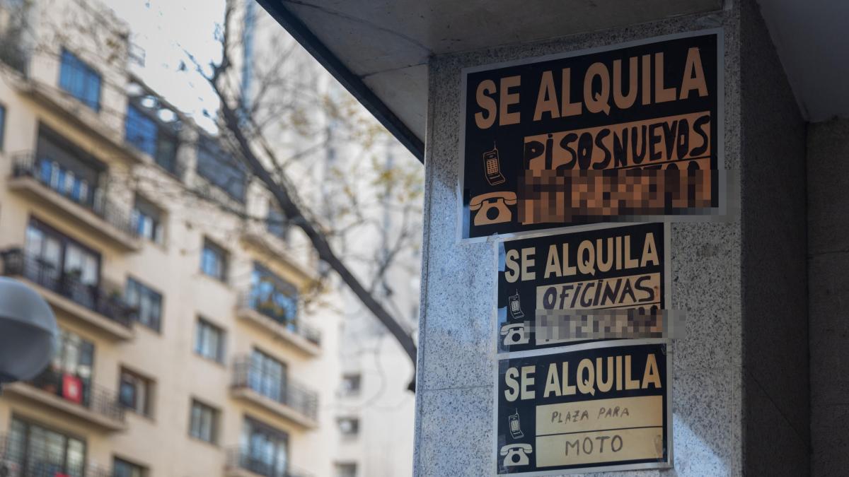 Consumo advierte por carta a 500 empresas de la obligatoriedad de aceptar la prórroga de los alquileres