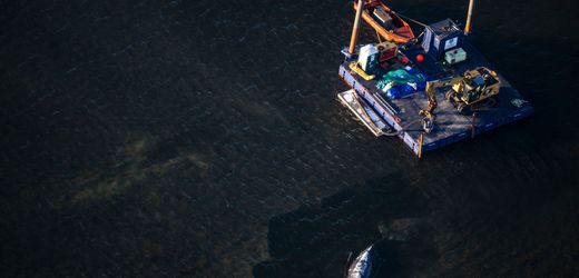 Wal in der Ostsee: Wie den Rettern von »Timmy« das Mitgefühl abhanden kam