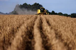 Agrogalaxy homologa conversão de debêntures em ações
