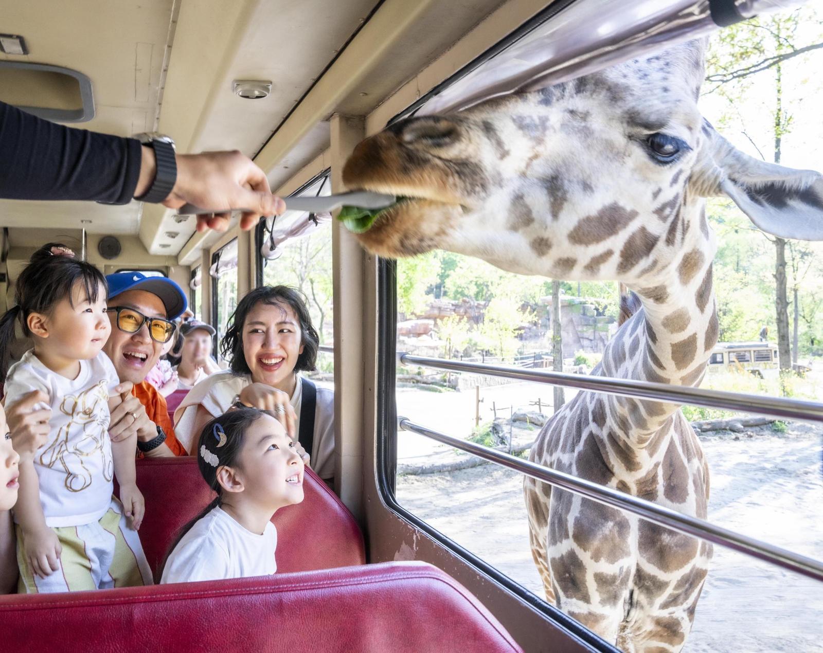 “기린과 함께 황금연휴를”
