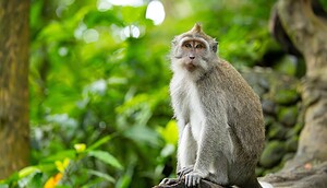 Dieser tot geglaubte Coin explodiert jetzt gerade: Hast du damals investiert?