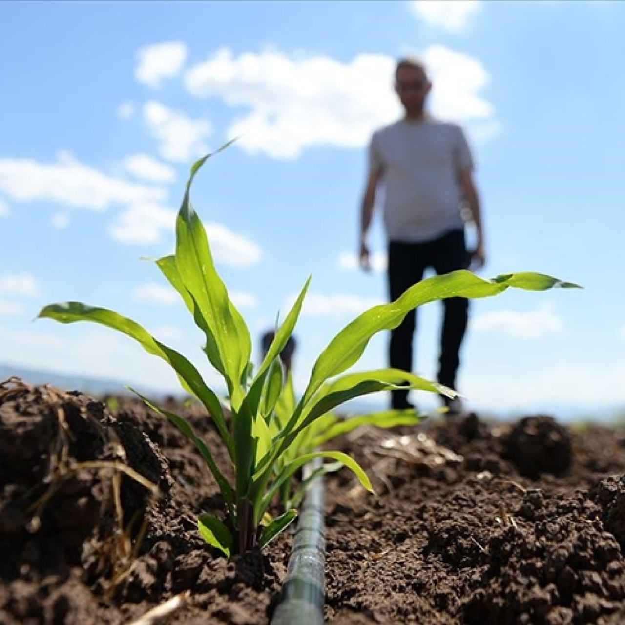 Gübrede vergi indirimi yürürlükte